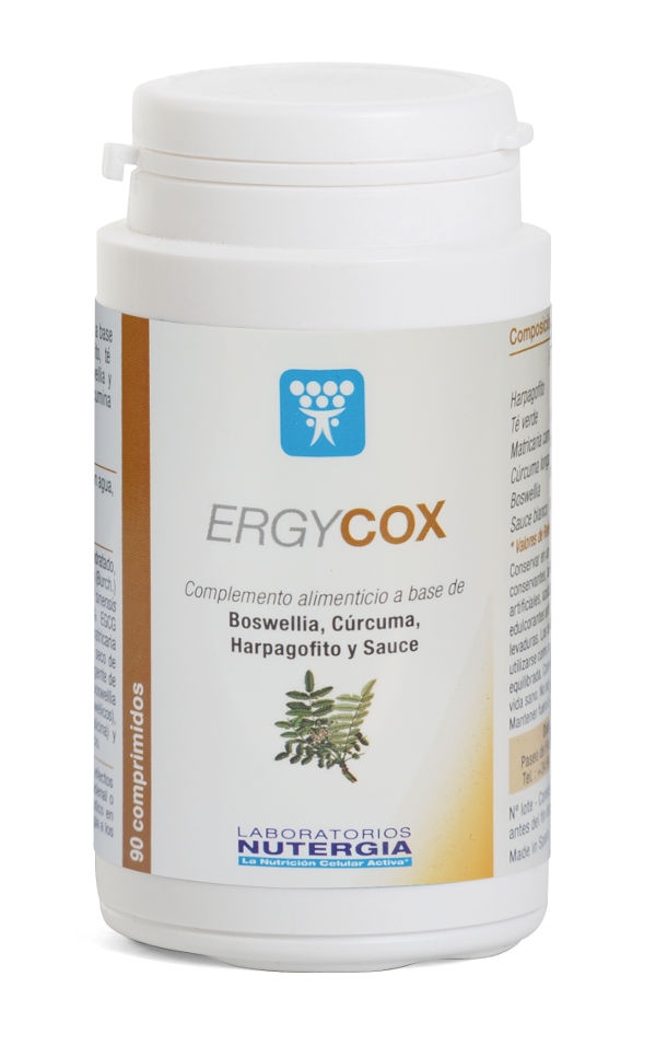 ERGYCOX 90 COMPRIMIDOS